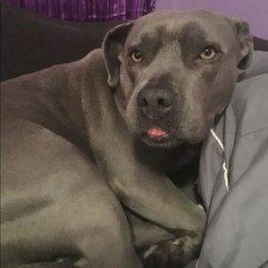 Meet your Posher, Janel